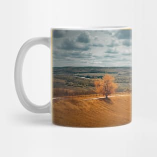 Picturesque autumnal landscape Mug